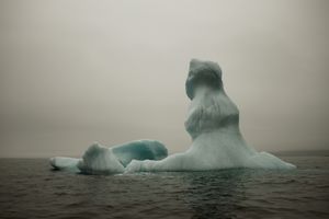 Melt #39