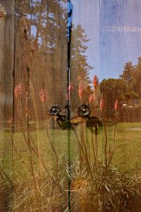 A Door to the Yard