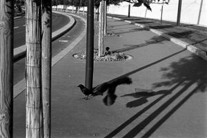 Paris 2013