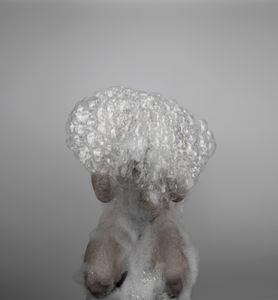 HomoBulla