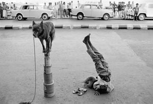 Street Children of Bombay