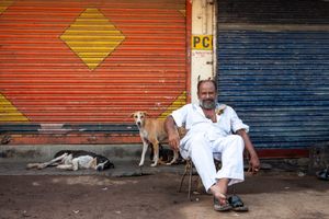 A resting dog and his friend