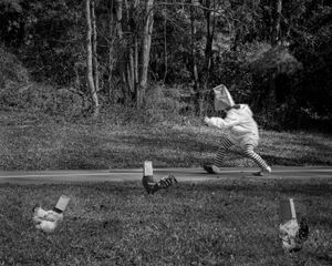 Running Around Like a Headless Chicken