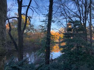 Central Park Golden Hour