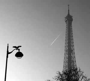 The Eiffel Tower and the Bird_1