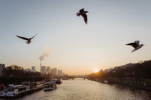 Paris Sunset with birds