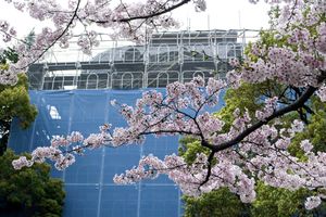 Blue Curtain, Kobe, Japan