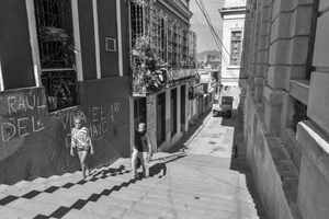 Escalinata de Lauro Fuentes y Corona, 2014