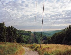 High Tension Wires, 2010