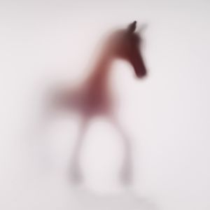 Wild-blur-horses-17.jpg