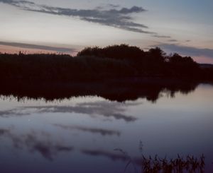 Grey hour. Narew river, Podlasie, Poland