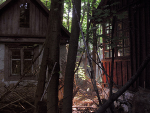 TRACES-TCHERNOBYL
