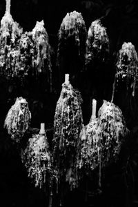 Dichotomy of Existence 03