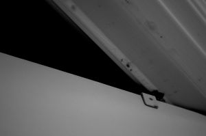 Hide 7 © Anastasia Davis