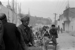 Donkey Cart