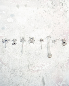 ( Remnants )
