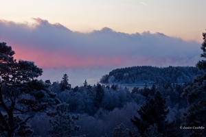 Sunset in sea smoke