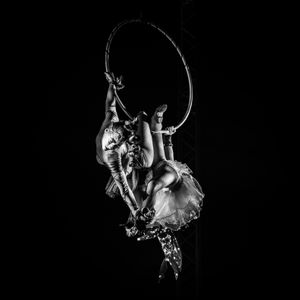 Aerial Art - Elegance - Lucioza