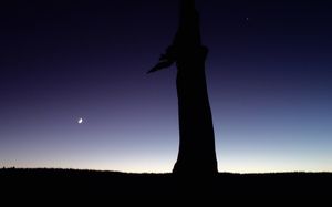 New Moon