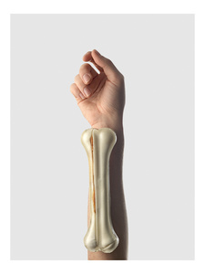 Bone (Book)
