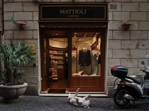 Rome, 29 September 200514:27