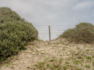 Fence at the Italian President Summer House "Castelporziano"