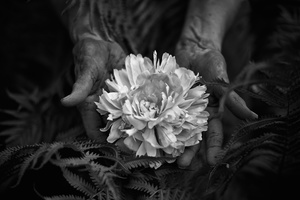 The Gift