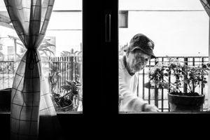 Giovanni and the plants 2018