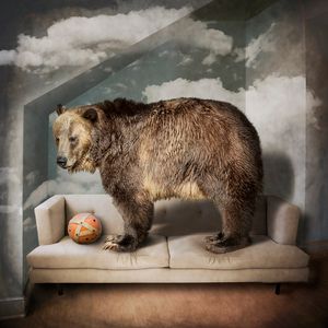 Environmental Enrichment