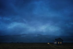 The Long Way Home   © Ann Mitchell