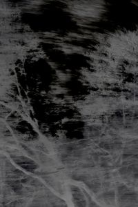 Untitled (Trees 7)