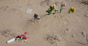 Plastic Flowers/Simple Grave