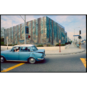 'Ocean Park Forest' 1974