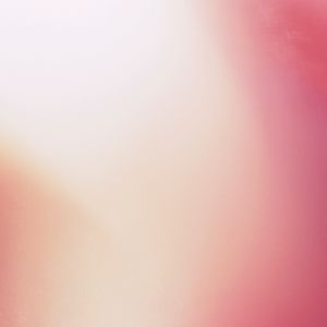 Body Archive: Dissection VI