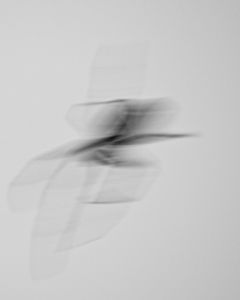 Afterimage