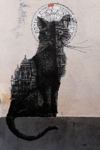 Gato Negro