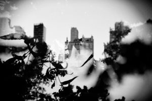 Central Park from Where the Green seeps into the Concrete series