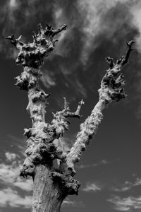 Epecuen
