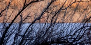 Equidistance