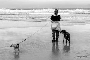 Cornwall | 13