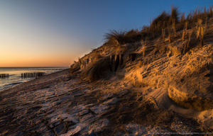 Westerschelde