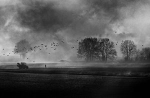 Foggy Flemish Landscape
