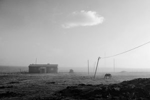 Early Morning