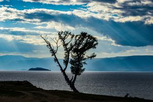 Light Rain, Olkhon island