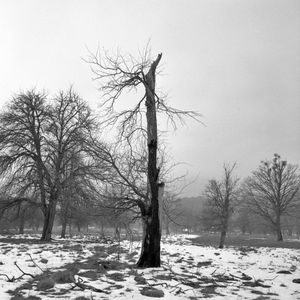 Lost Soul VI