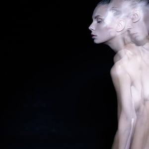 Self-contradiction. 2016