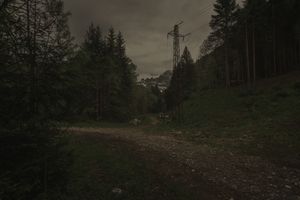'Disappeared without a trace'
