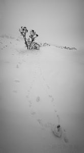 High Mountain Scenes-7
