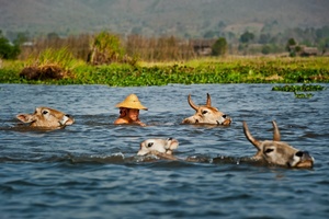 Crossing River