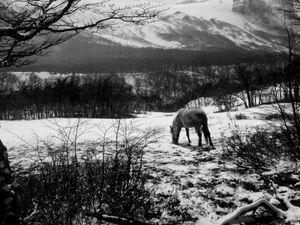Cabalgando por la Patagonia.